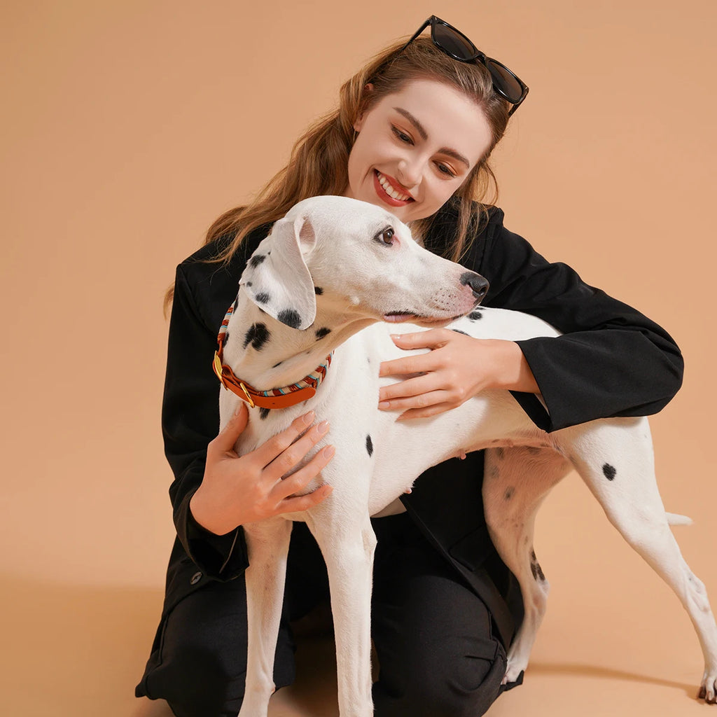 The Pawsh Everyday Collar