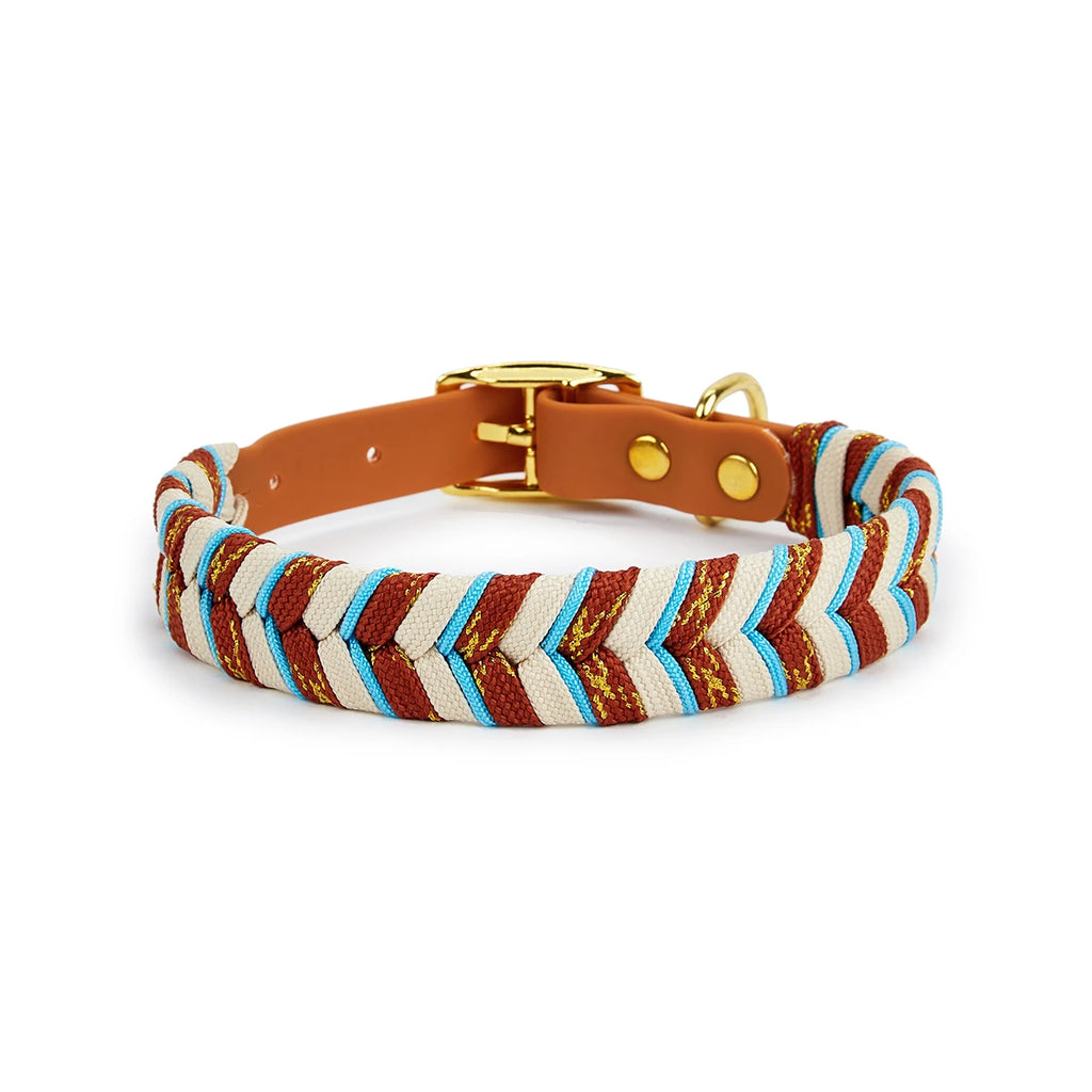 The Pawsh Everyday Collar