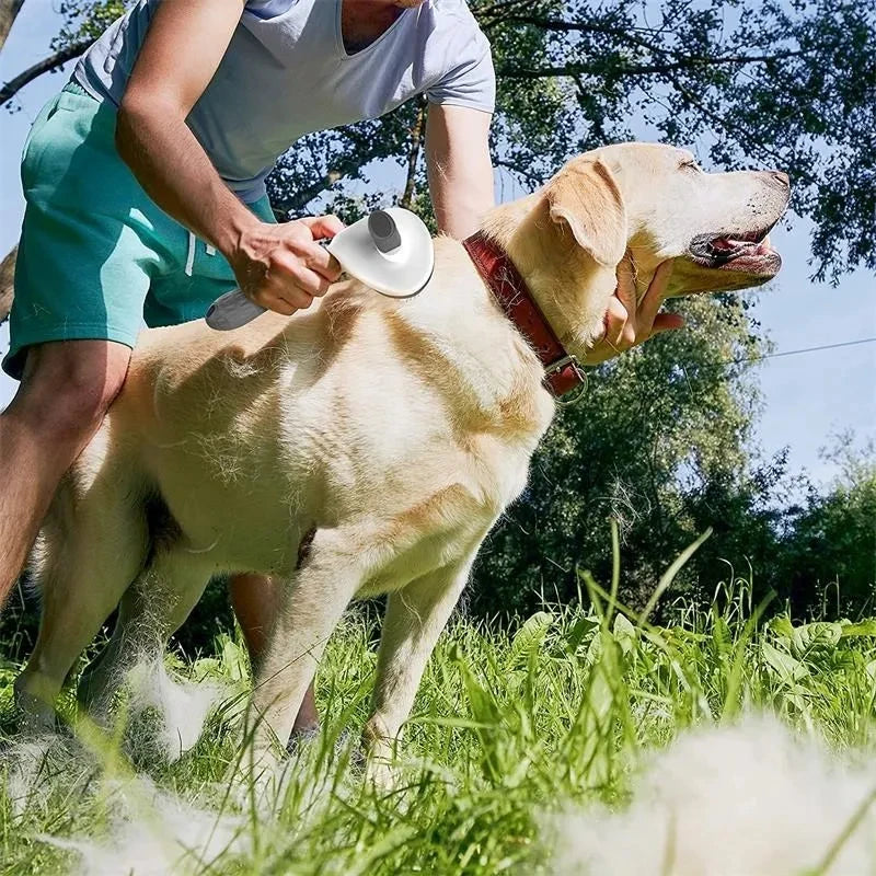 Pawsh Self-Cleaning Deshedding Brush