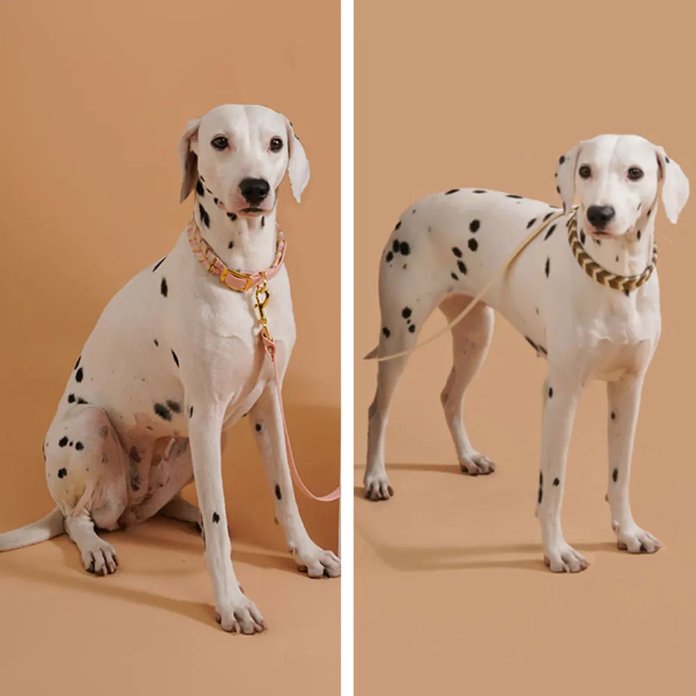 The Pawsh Everyday Collar